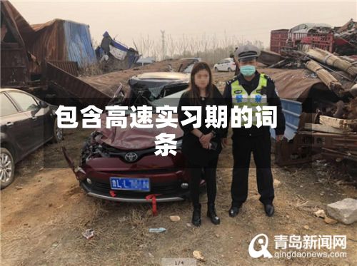 包含高速实习期的词条-第1张图片