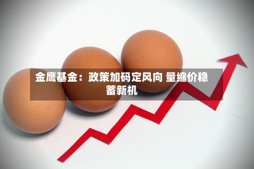 金鹰基金:政策加码定风向 量缩价稳蓄新机-第2张图片