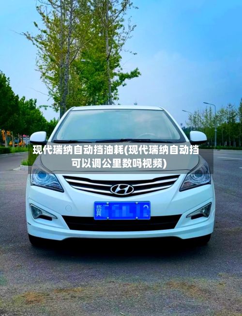 现代瑞纳自动挡油耗(现代瑞纳自动挡可以调公里数吗视频)-第1张图片