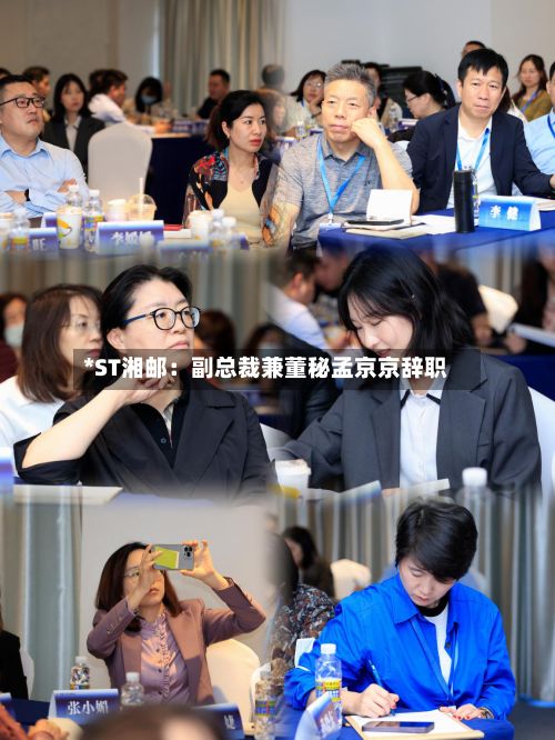 *ST湘邮:副总裁兼董秘孟京京辞职-第3张图片