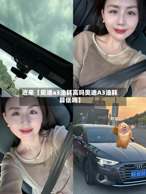近来【奥迪a3油耗高吗奥迪A3油耗算低吗】-第1张图片