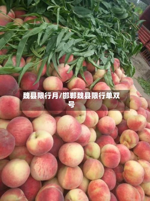 魏县限行月/邯郸魏县限行单双号-第1张图片