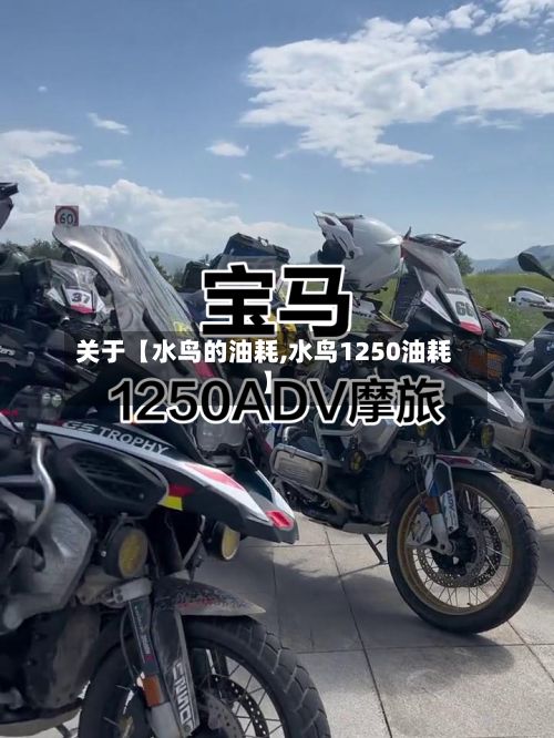 关于【水鸟的油耗,水鸟1250油耗】-第1张图片