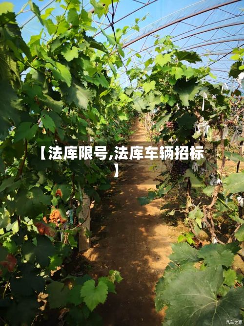 【法库限号,法库车辆招标】-第1张图片