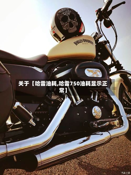 关于【哈雷油耗,哈雷750油耗显示正常】-第1张图片