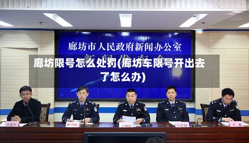 廊坊限号怎么处罚(廊坊车限号开出去了怎么办)-第2张图片