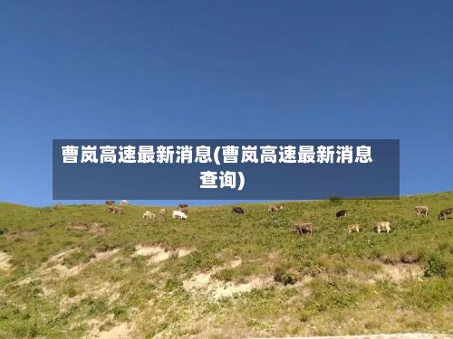 曹岚高速最新消息(曹岚高速最新消息查询)