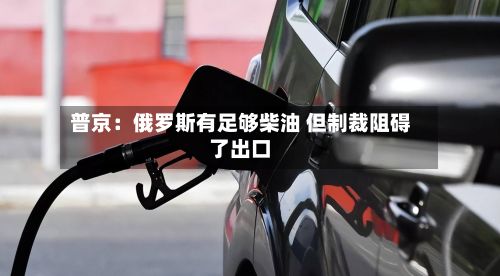 普京:俄罗斯有足够柴油 但制裁阻碍了出口-第2张图片