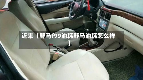 近来【野马f99油耗野马油耗怎么样】