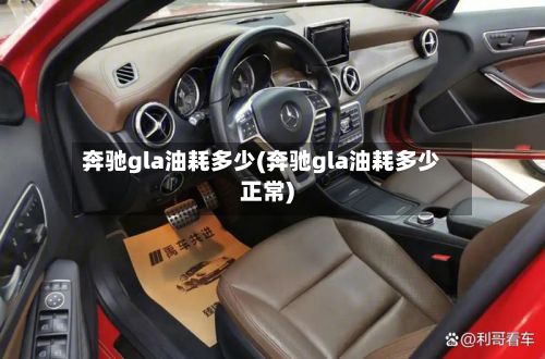 奔驰gla油耗多少(奔驰gla油耗多少正常)-第3张图片
