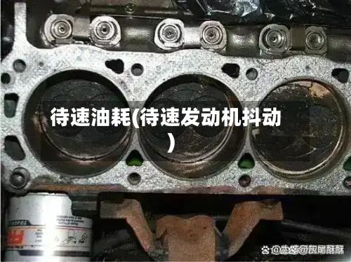 待速油耗(待速发动机抖动)-第2张图片