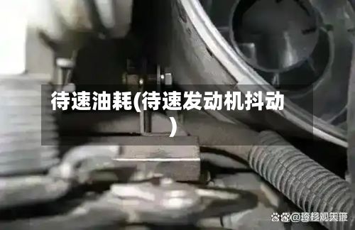 待速油耗(待速发动机抖动)