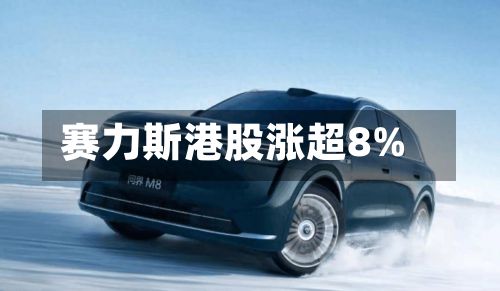 赛力斯港股涨超8%