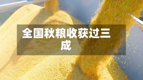 全国秋粮收获过三成-第1张图片