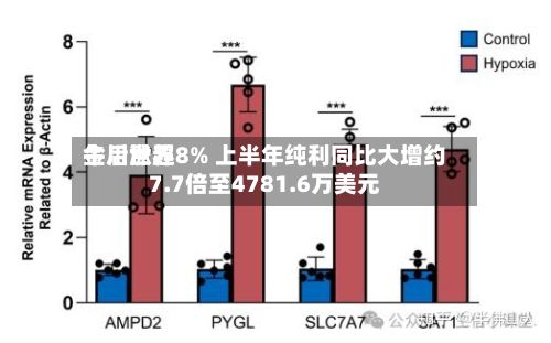 金川世界午后涨超8% 上半年纯利同比大增约7.7倍至4781.6万美元-第3张图片