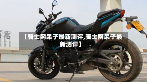 【骑士网呆子最新测评,骑士网呆子最新测评】