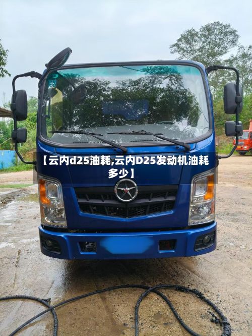 【云内d25油耗,云内D25发动机油耗多少】