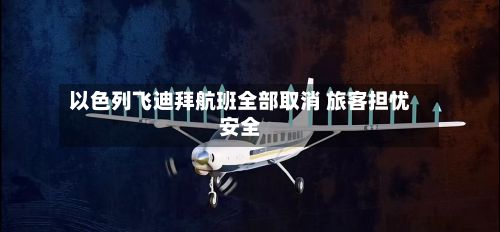 以色列飞迪拜航班全部取消 旅客担忧安全-第2张图片
