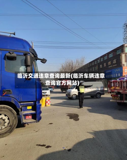 临沂交通违章查询最新(临沂车辆违章查询官方网站)-第3张图片
