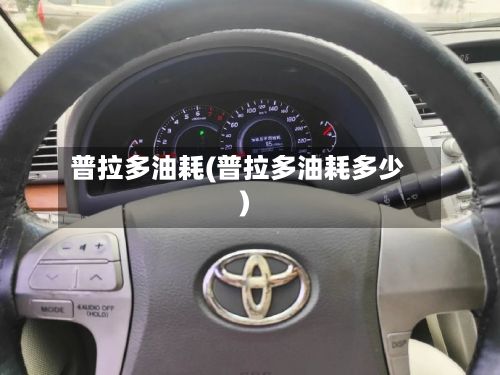 普拉多油耗(普拉多油耗多少)-第2张图片