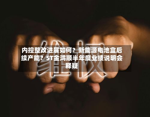 内控整改进展如何？新能源电池盒后续产能？ST金鸿顺半年度业绩说明会释疑-第3张图片