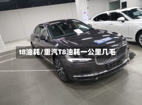 t8油耗/重汽T8油耗一公里几毛-第2张图片