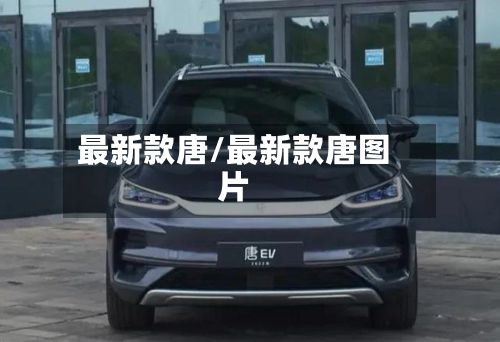 最新款唐/最新款唐图片-第3张图片
