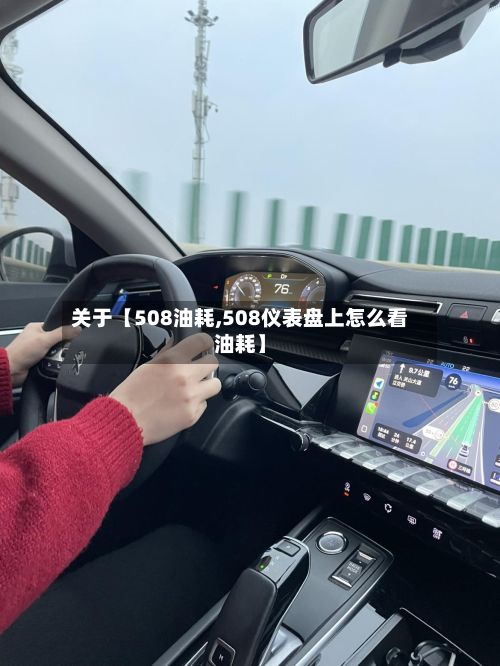 关于【508油耗,508仪表盘上怎么看油耗】-第2张图片