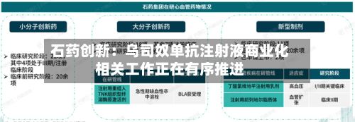 石药创新:乌司奴单抗注射液商业化相关工作正在有序推进-第2张图片