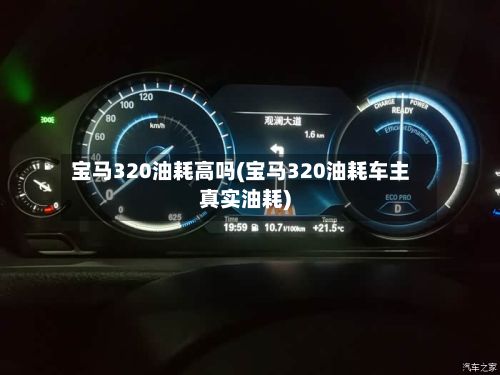 宝马320油耗高吗(宝马320油耗车主真实油耗)