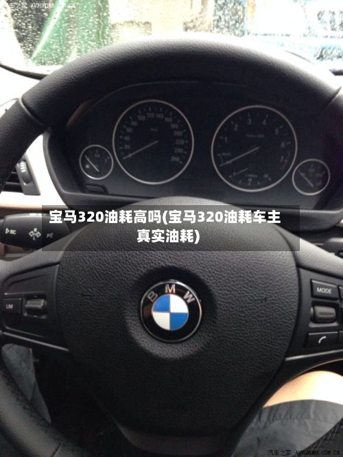 宝马320油耗高吗(宝马320油耗车主真实油耗)-第3张图片
