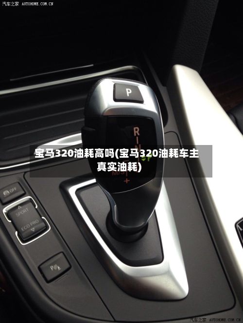 宝马320油耗高吗(宝马320油耗车主真实油耗)-第2张图片
