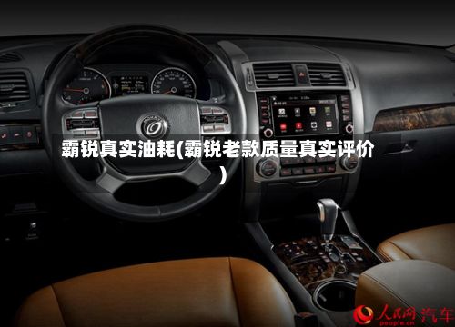 霸锐真实油耗(霸锐老款质量真实评价)-第2张图片
