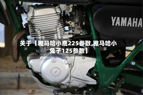 关于【雅马哈小鹿225参数,雅马哈小兔子125参数】-第2张图片