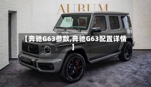 【奔驰G63参数,奔驰G63配置详情】