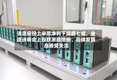 清源股份上半年净利下降超七成，业绩说明会上股权激励措施、后续发展战略受关注-第3张图片