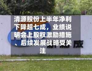 清源股份上半年净利下降超七成，业绩说明会上股权激励措施、后续发展战略受关注
