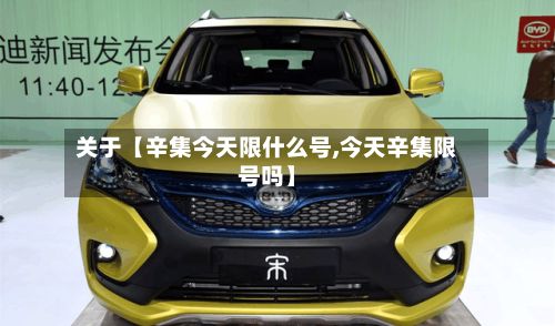 关于【辛集今天限什么号,今天辛集限号吗】-第2张图片