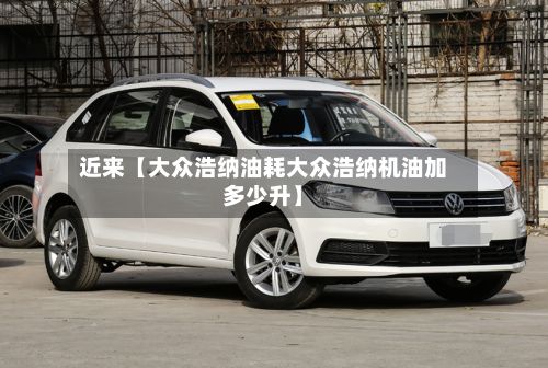 近来【大众浩纳油耗大众浩纳机油加多少升】-第2张图片