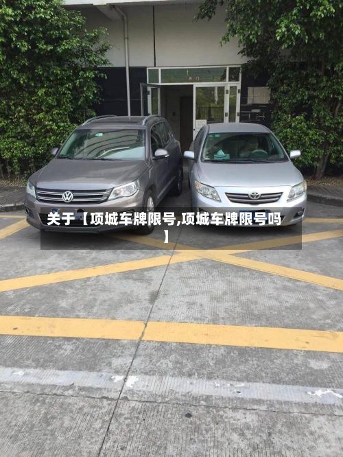 关于【项城车牌限号,项城车牌限号吗】