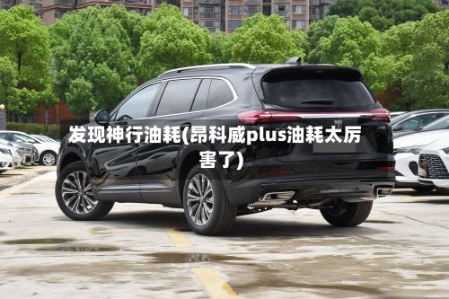 发现神行油耗(昂科威plus油耗太厉害了)-第1张图片