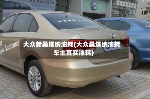 大众新桑塔纳油耗(大众桑塔纳油耗车主真实油耗)-第1张图片