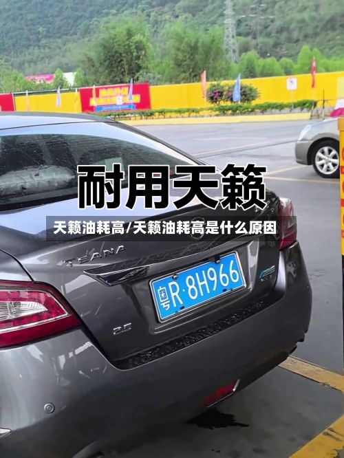 天籁油耗高/天籁油耗高是什么原因