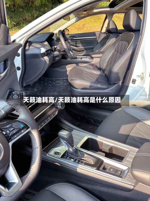 天籁油耗高/天籁油耗高是什么原因-第2张图片
