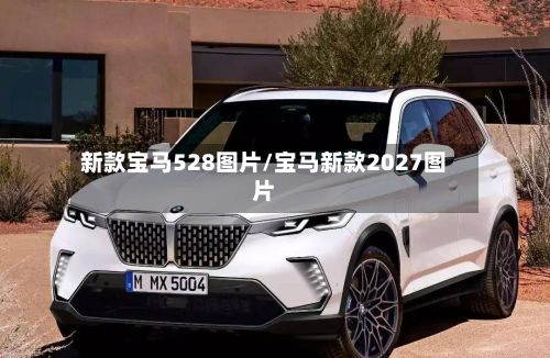 新款宝马528图片/宝马新款2027图片-第3张图片