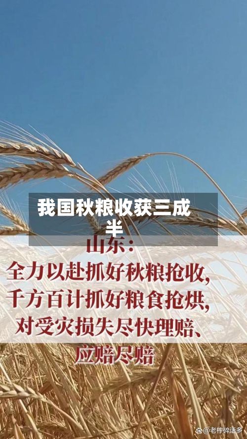 我国秋粮收获三成半-第2张图片