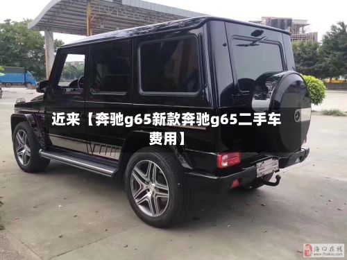 近来【奔驰g65新款奔驰g65二手车费用】-第2张图片