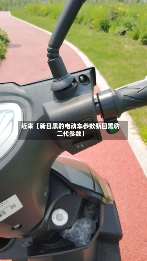 近来【新日黑豹电动车参数新日黑豹二代参数】-第2张图片