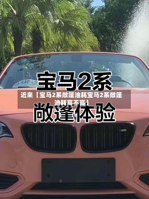 近来【宝马2系敞篷油耗宝马2系敞篷油耗高不高】