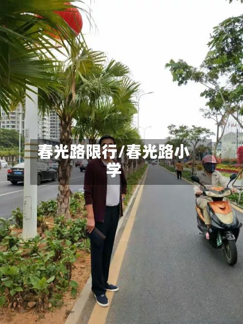 春光路限行/春光路小学-第3张图片